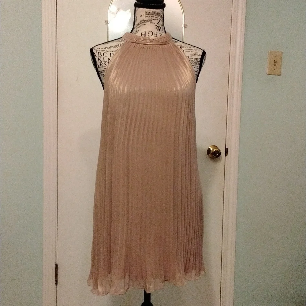 Women's accordion pleat formal champagne top by Worthington size XL Like New - Picture 1 of 5